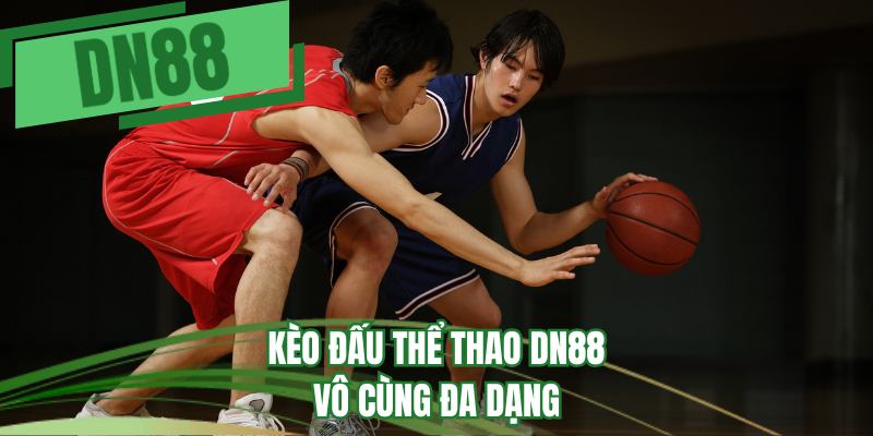 Kèo đấu thể thao DN88 vô cùng đa dạng